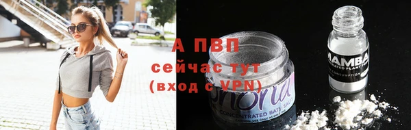 эйфоретик Верея