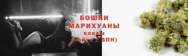сатива Ладушкин