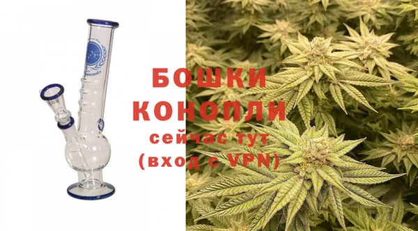 ПСИЛОЦИБИНОВЫЕ ГРИБЫ Лихославль