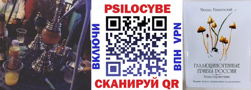 Галлюциногенные грибы Psilocybine cubensis Верхоянск
