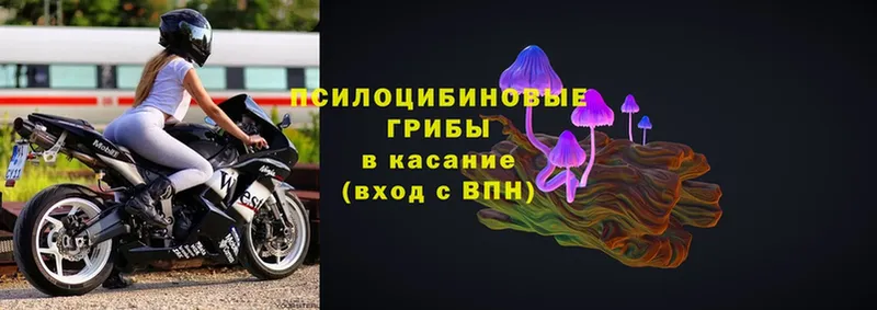 Псилоцибиновые грибы Magic Shrooms  Верхоянск 